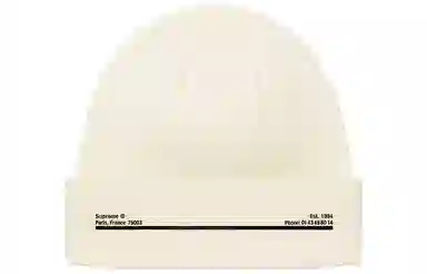 Supreme FW20 Week 5 New Era Shop Beanie