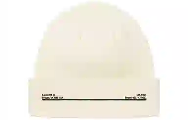 Supreme FW20 Week 5 New Era Shop Beanie