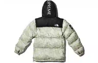 Supreme x The North Face Paper Print Nuptse Jacket