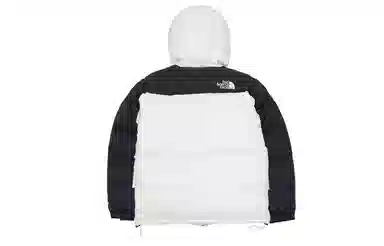 THE NORTH FACE ICON550