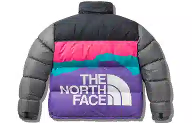 The North Face x Invincible 1996 Retro Nuptse Grey
