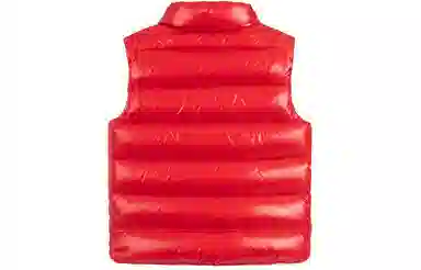 Moncler FW21 Tib Gilet Logo