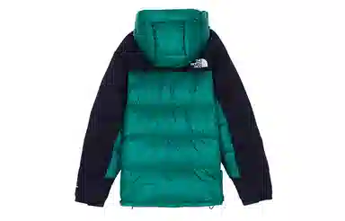 THE NORTH FACE DOWN PARKA ENERGY