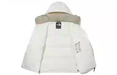 THE NORTH FACE Summit Pro Down Jacket