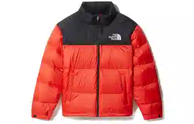 THE NORTH FACE 1996 Retro Nuptse 700