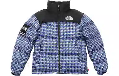 Supreme x The North Face Studded Nuptse Jacket