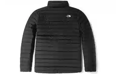 The North Face 700 Stand Collar Down Jacket