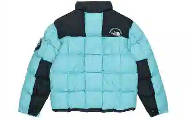 THE NORTH FACE logo