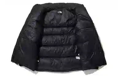 The North Face 1992 Series Down Jacket