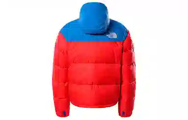 THE NORTH FACE 1996 Nuptse 700