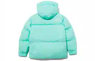 THE NORTH FACE 1996 Nuptse eco Logo