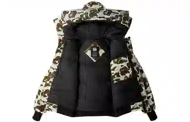 Canada Goose Snow Mountain Camo