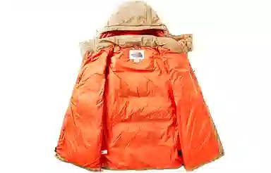 The North Face