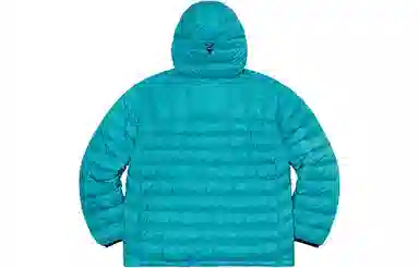 Supreme Micro Down Half Zip Hooded Pullover