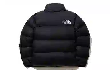 The North Face 1996 Nuptse Eco Hoodie