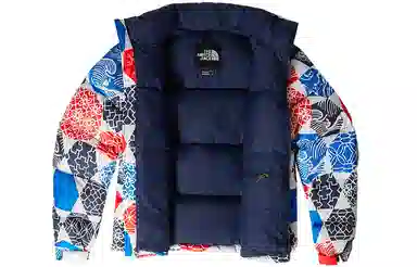 The North Face 1996 Retro Nuptse Blue