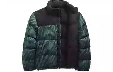 The North Face 1996 Retro Nuptse