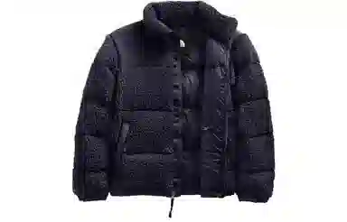 THE NORTH FACE Logo