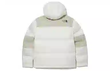THE NORTH FACE Summit Pro Down Jacket