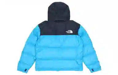 THE NORTH FACE 1996 Nuptse 700