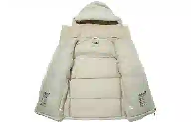 The North Face Dryvent Down Jacket