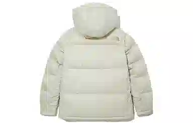 The North Face Dryvent Down Jacket