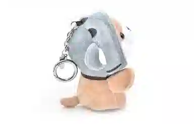 DAP