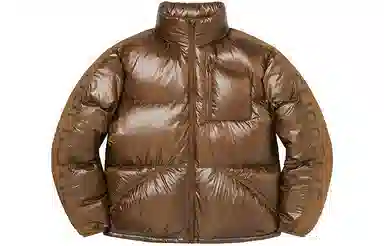 Supreme Featherweight Down Jacket