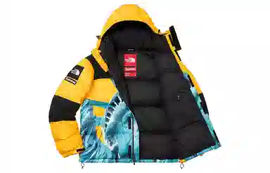 Supreme x The North Face Statue of Liberty Hoodie Yellow