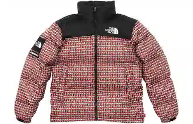 Supreme x The North Face Studded Nuptse Jacket