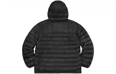 Supreme Micro Down Half Zip Hooded Pullover
