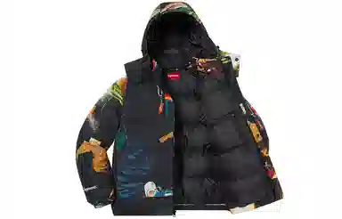 Supreme SS21 Week 1 Firecracker Down Jacket