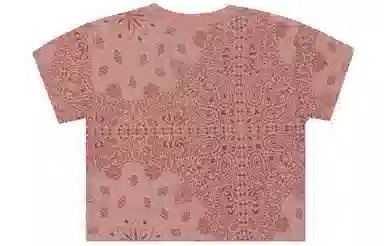 Champion SS22 Rochester T