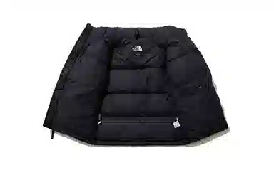 The North Face 1996 Nuptse Eco Hoodie