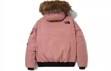 The North Face Eco Polar Air Down Jacket