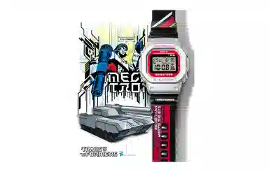 Casio G-Shock DW-5600MEGA22-8PFT