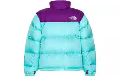 THE NORTH FACE 1996 Retro Nuptse 700