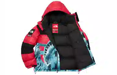 Supreme x The North Face Statue of Liberty Baltoro Red