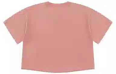 Champion SS22 Rochester LogoT