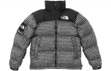 Supreme x The North Face Studded Nuptse Jacket