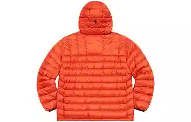 Supreme Micro Down Half Zip Hooded Pullover