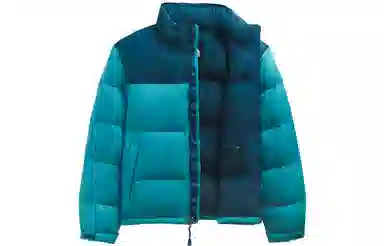 THE NORTH FACE 1996 Logo700