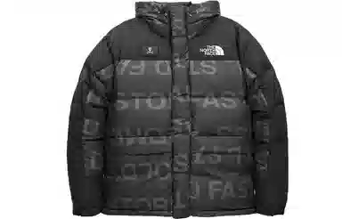The North Face Urban Exploration Himalayan Parka Black