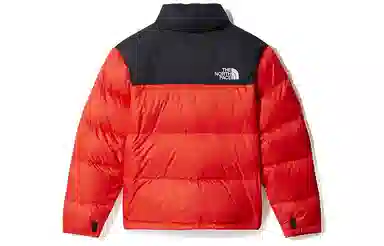 THE NORTH FACE 1996 Retro Nuptse 700