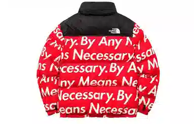 Supreme x The North Face FW15 Red