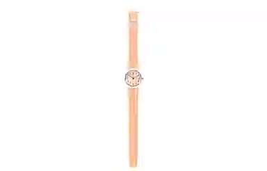 SWATCH ORIGINALS 30 25mm LK395