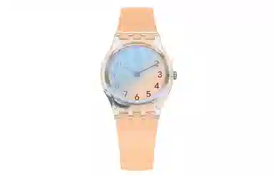 SWATCH ORIGINALS 30 25mm LK395