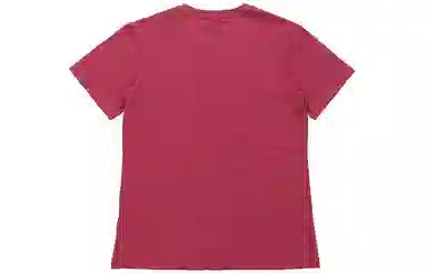 Arcteryx T