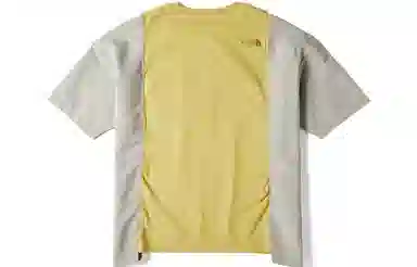 THE NORTH FACE T