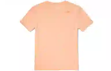 THE NORTH FACE SS22 LogoT